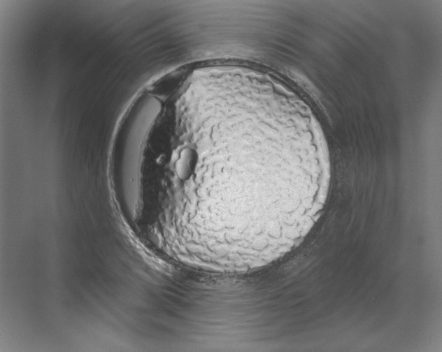 X0000068841072200606021703