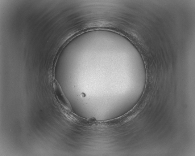 X0000068841073200606021703