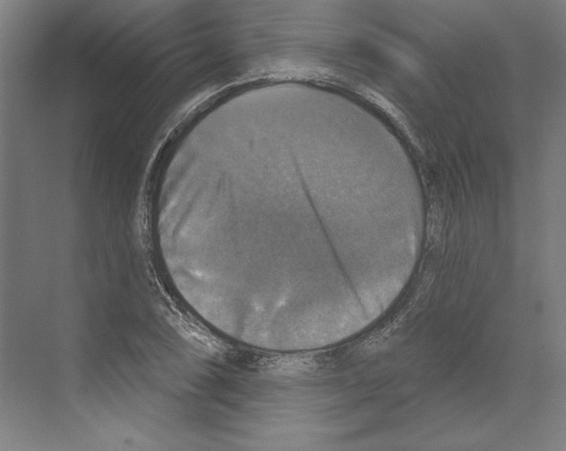 X0000068841074200606021703