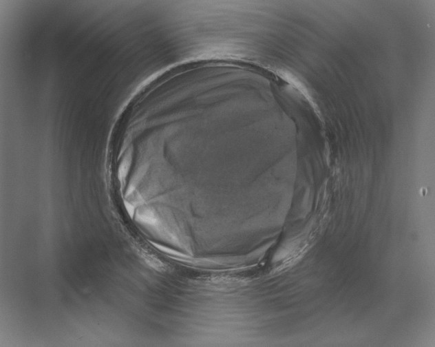 X0000068841077200606021702