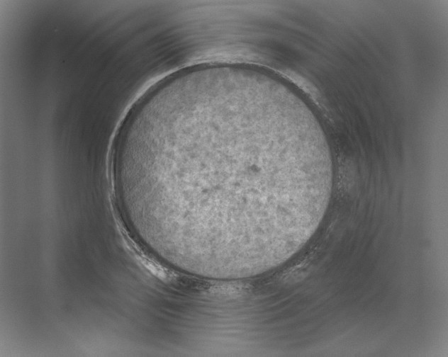 X0000068841078200606021702