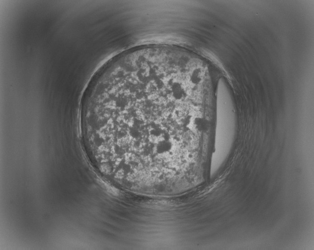 X0000068841079200606021702