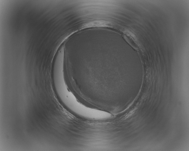 X0000068841081200606021702