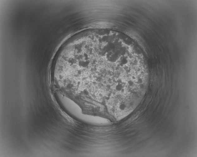 X0000068841083200606021702