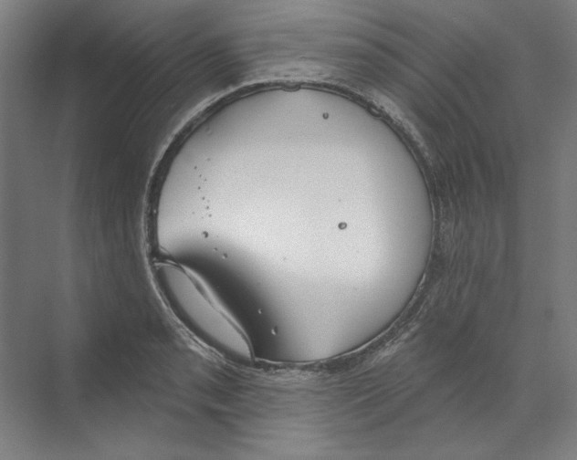 X0000068841085200606021702