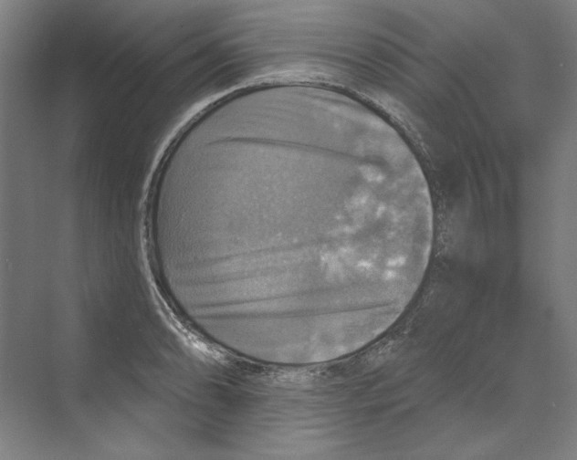 X0000068841086200606021702