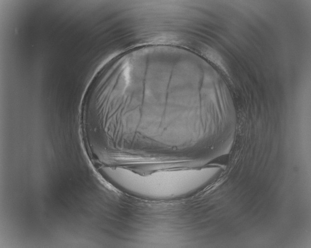 X0000068841087200606021702