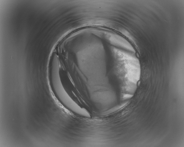 X0000068841088200606021702