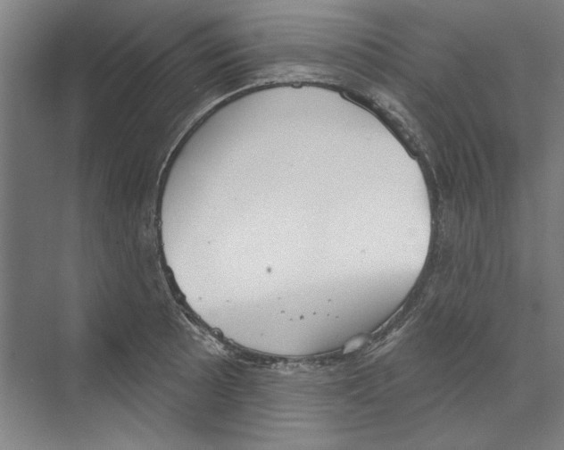 X0000068841089200606021702