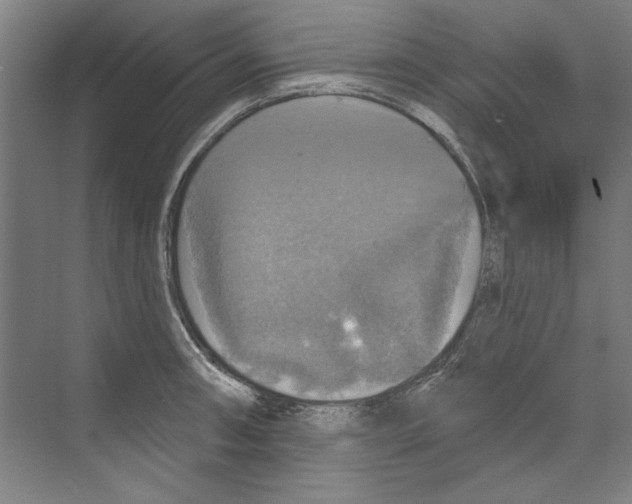 X0000068841090200606021702