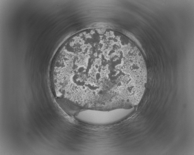 X0000068841091200606021702