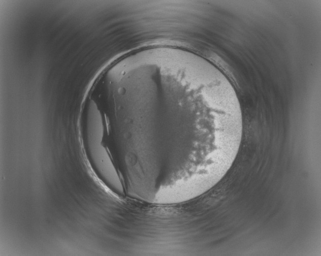 X0000068841092200606021702