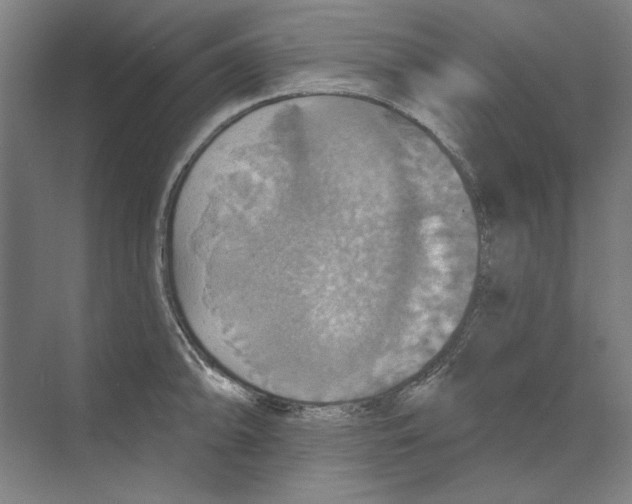 X0000068841094200606021702