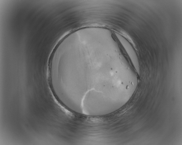 X0000068841095200606021702