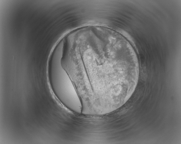 X0000068841096200606021702