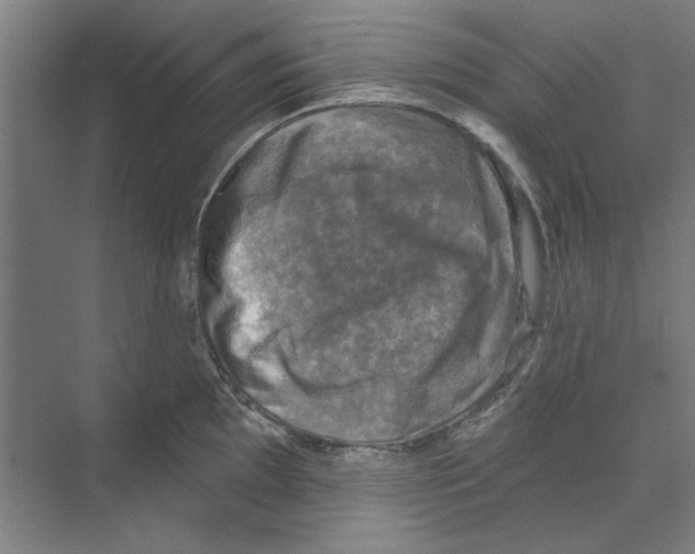 X0000068841097200606021702