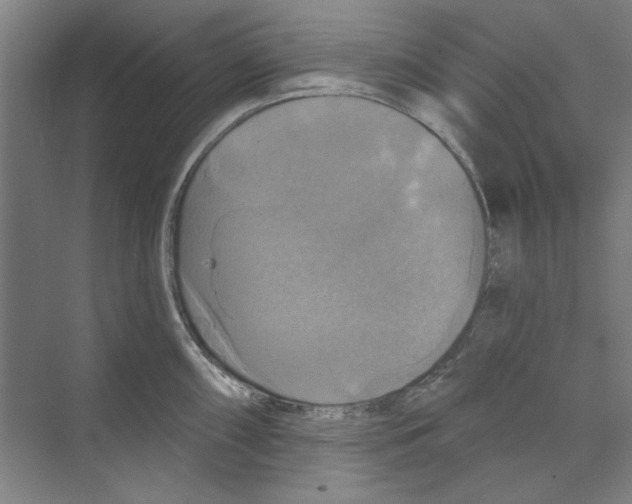 X0000068841098200606021702