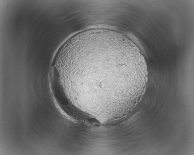 X0000068841100200606021702