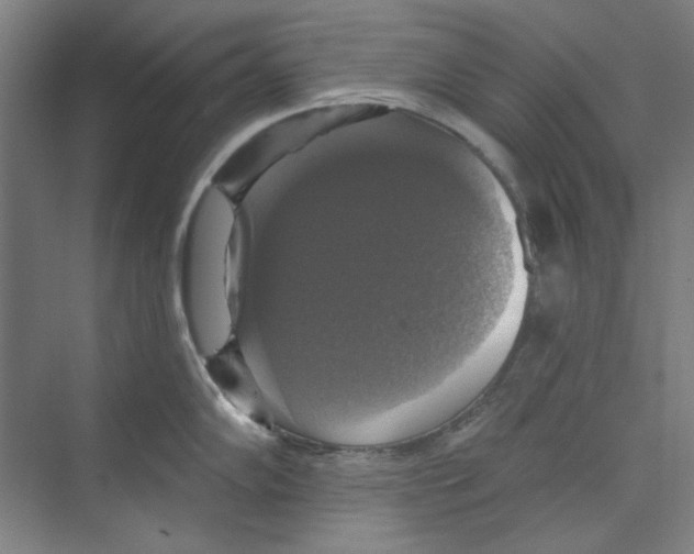 X0000068841102200606021702