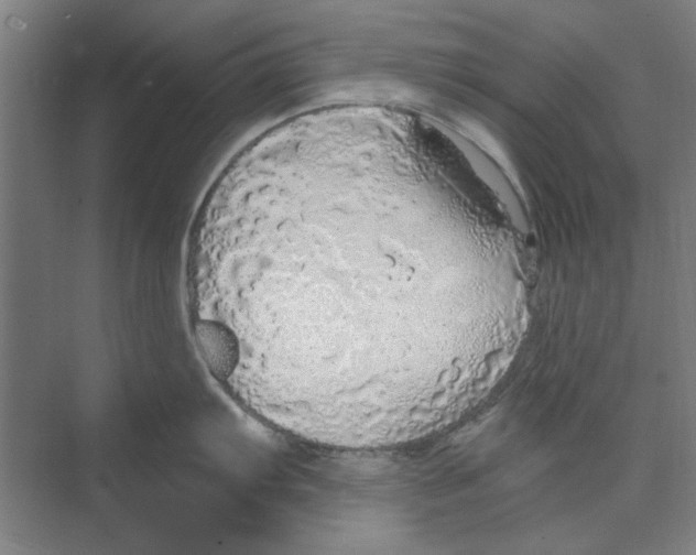 X0000068841103200606021702