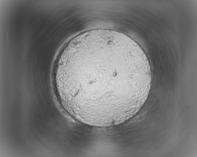 X0000068841104200606021702