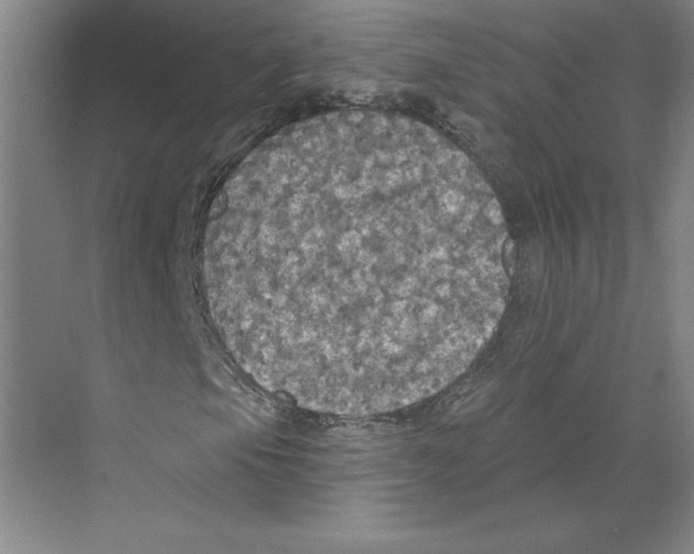 X0000068841105200606021701