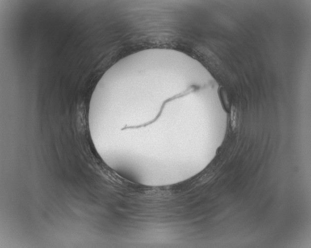 X0000068841107200606021701