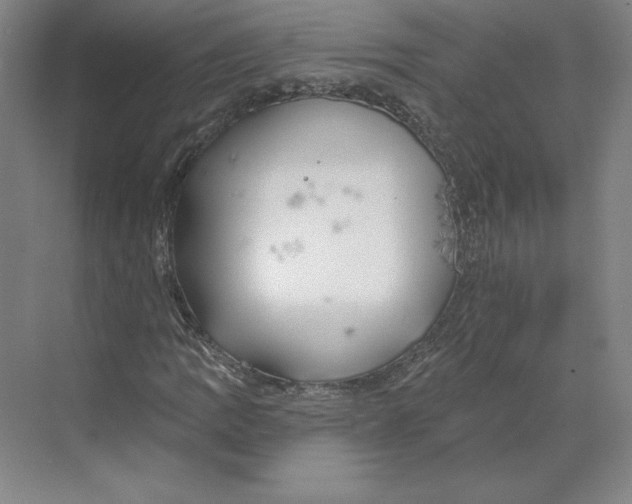 X0000068841109200606021701