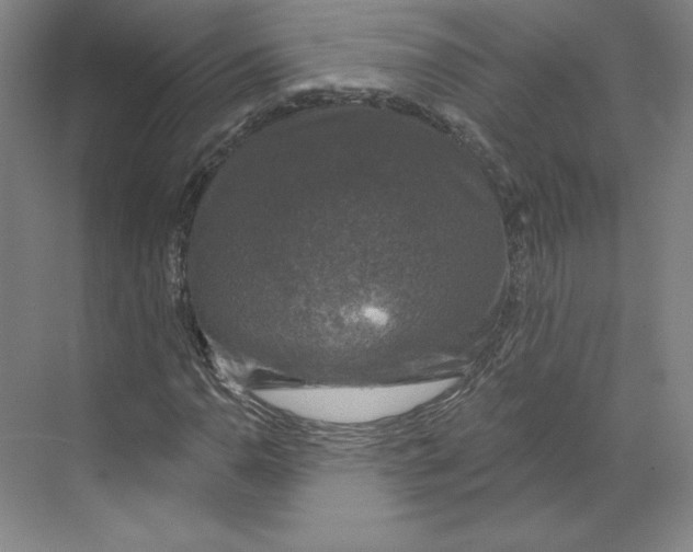 X0000068841110200606021701