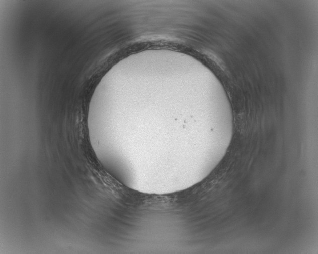 X0000068841111200606021701