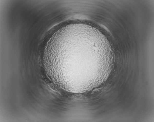 X0000068841112200606021701