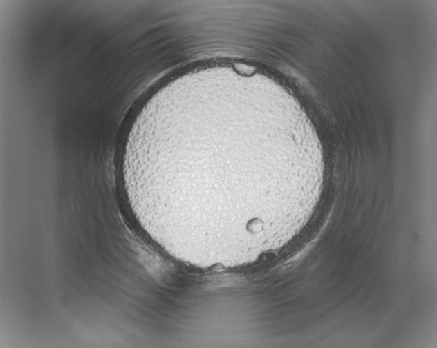 X0000068841113200606021701