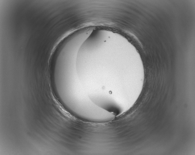 X0000068841114200606021701