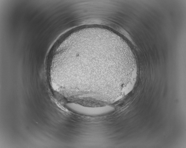 X0000068841116200606021701