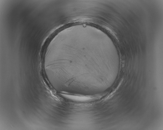 X0000068841117200606021701