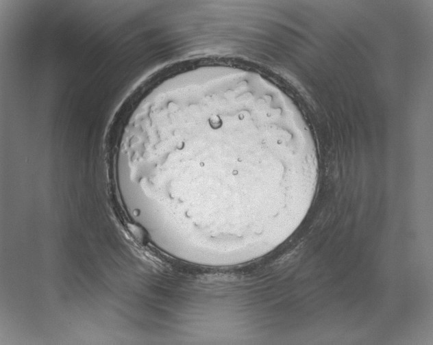 X0000068841118200606021701