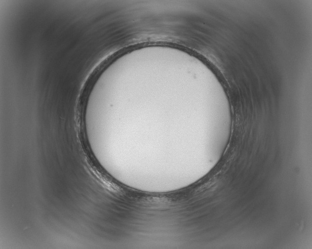 X0000068841119200606021701