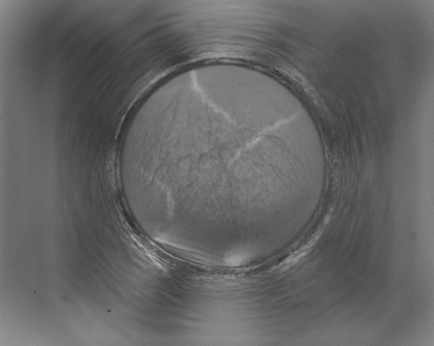 X0000068841121200606021701