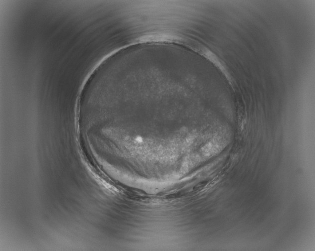 X0000068841124200606021702