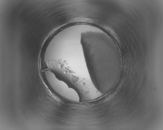 X0000068841125200606021702