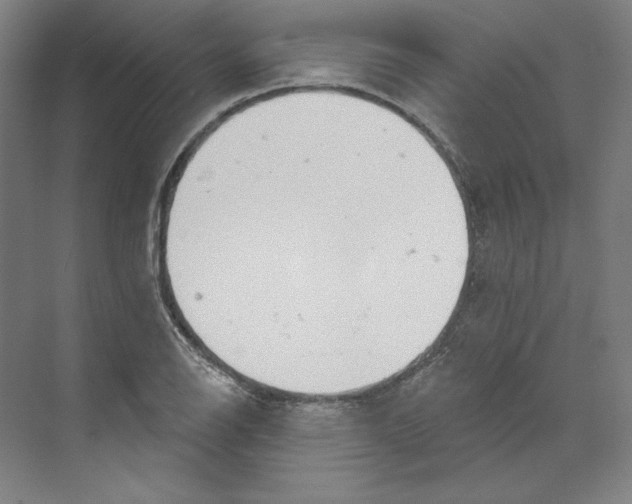 X0000068841126200606021702