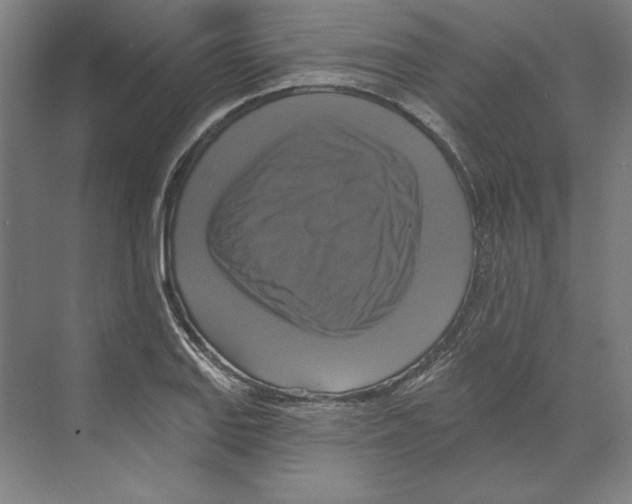 X0000068841127200606021702