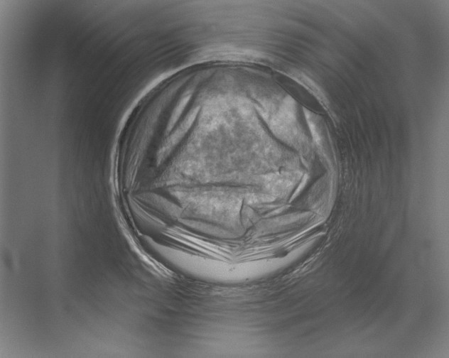 X0000068841128200606021702