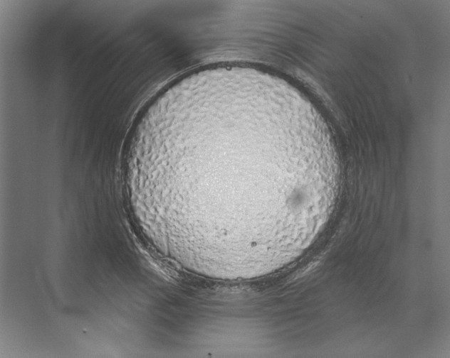 X0000068841129200606021702