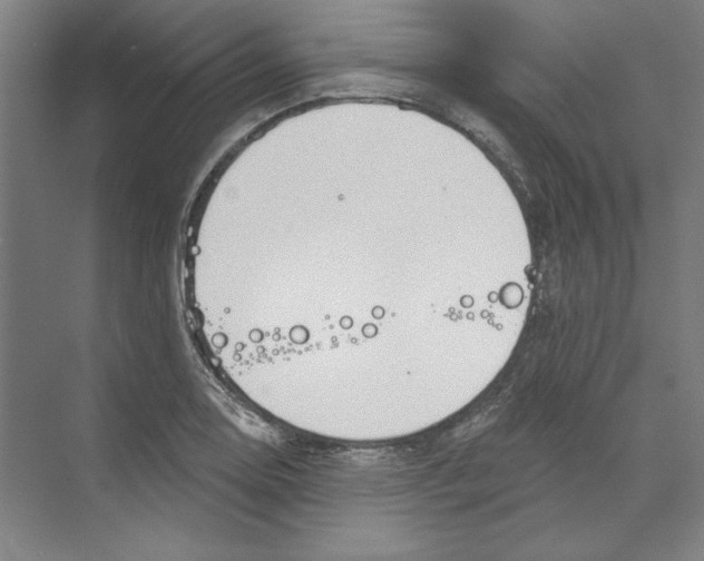 X0000068841130200606021702