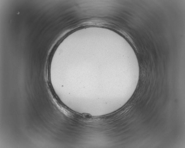 X0000068841131200606021702