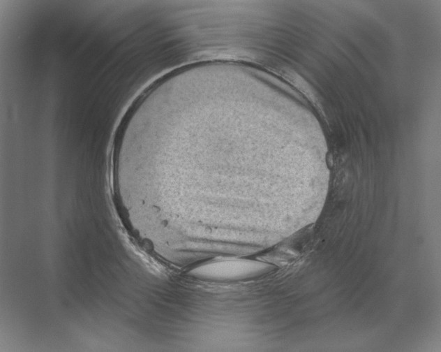 X0000068841132200606021702