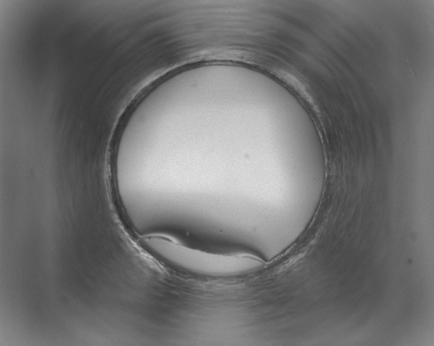 X0000068841133200606021702