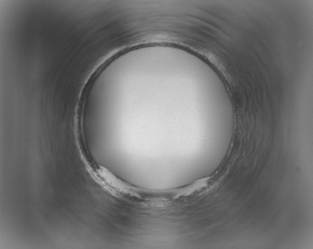 X0000068841134200606021702