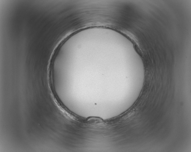 X0000068841135200606021702